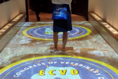 „25th European Congress of Veterinary Dentistry” – Dublin, Irlandia