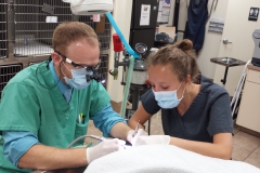 Dr Michael Balke i ja Przy zabiegu stomatologicznym - Staż w Phoenix, Arizona (USA)