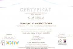 Certyfikat uczestnictwa w warsztatach
